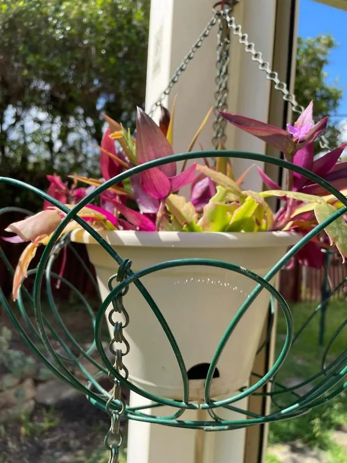 Theme Parks Amituofo Homestay Gold Coast Australia